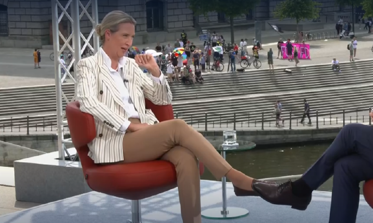 Das Sommerinterview von Alice Weidel ist ein Fiebertraum - Reaktion & Analyse